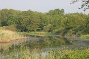 Mrtvice reke Mure: Muriša in Potkova